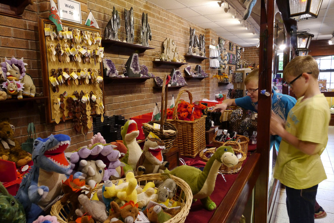 Rock and Dino Shop