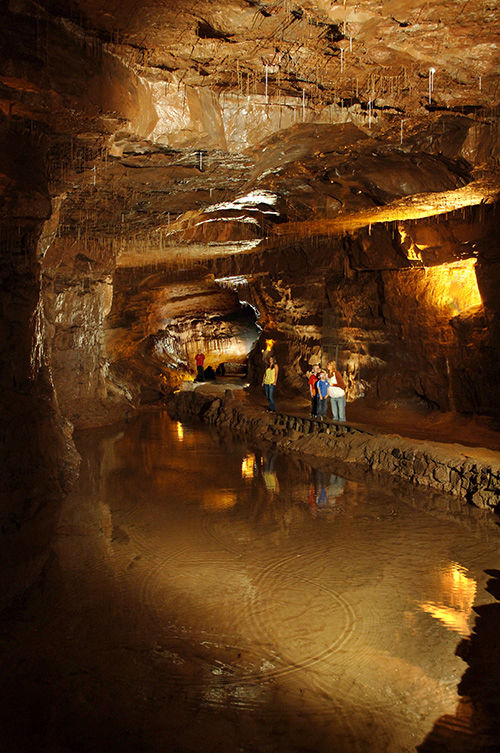 The National Showcaves Centre for Wales - Cathedral Cave