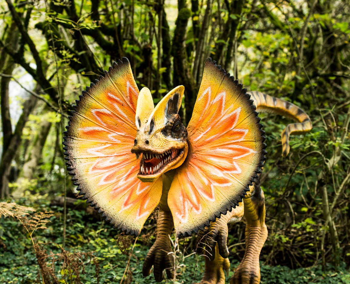 Dinosaur Park