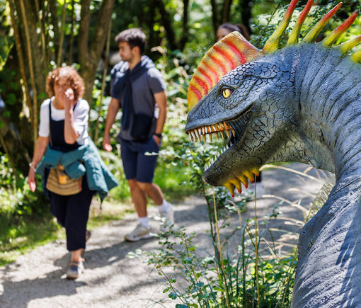 Dinosaur Park