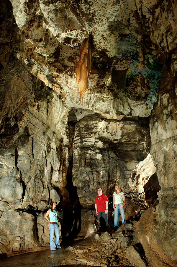 The National Showcaves Centre for Wales - Dan-yr-Ogof Cave