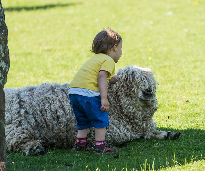 The National Showcaves Centre for Wales - The Farm