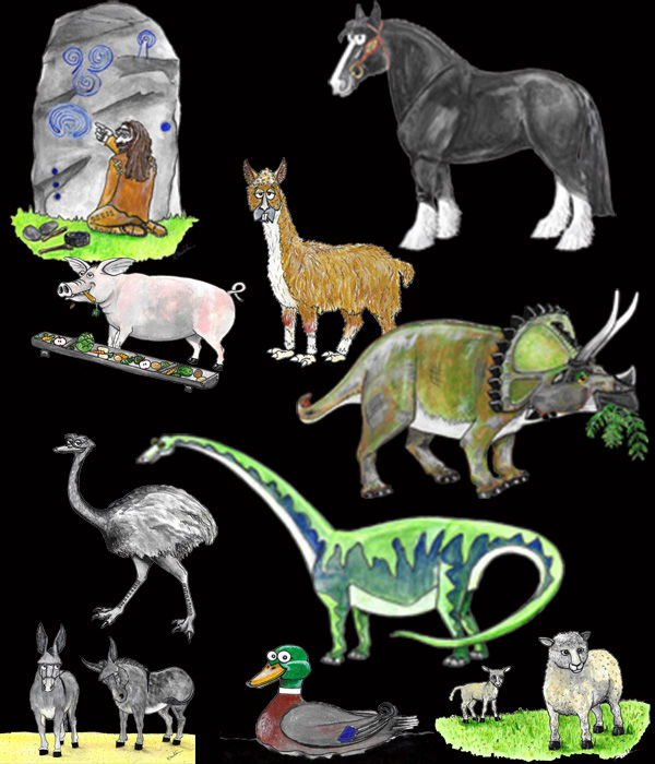 Teachers Resources