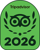 Trip Advisor 2026
